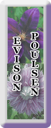 evison gallery